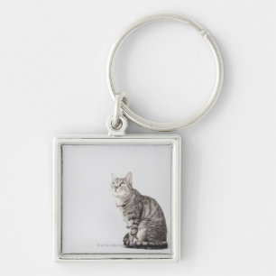 Porte-clés Chat recherchant