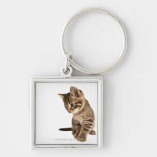 Porte-clés Chaton 2
