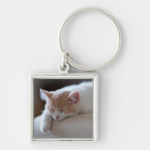 Porte-clés Chaton beige et blanc fatigué
