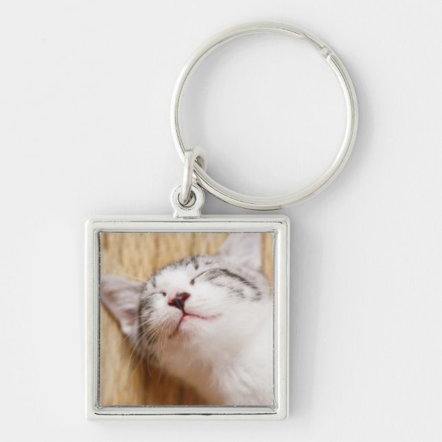 Porte-clés Chaton de sommeil (Devant)