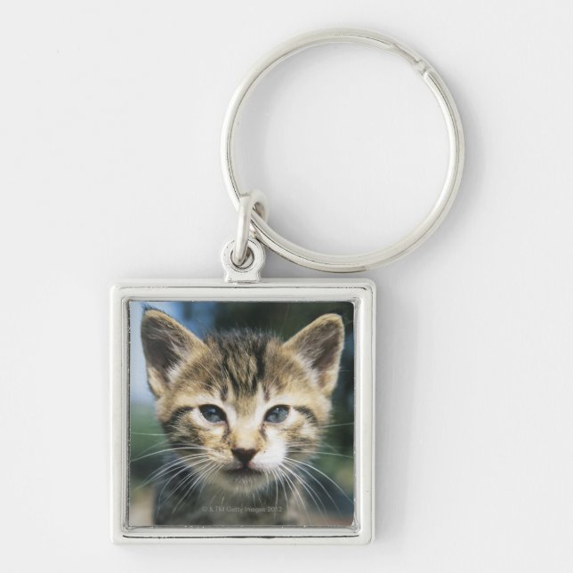 Porte-clés Chaton dehors (Devant)