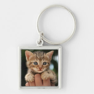 Porte-clés Chaton doux de bébé