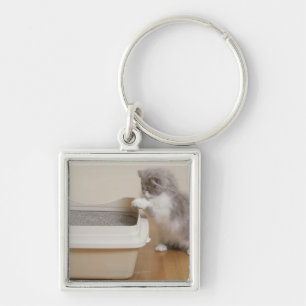 Porte-clés Chaton persan regardant la poubelle