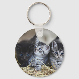 Porte-clés Chatons, Animal de compagnie, Félins