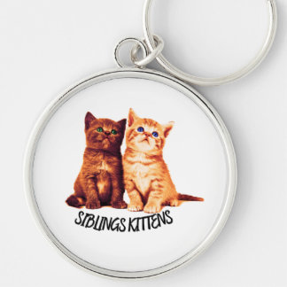 Porte-clés Chatons frères et soeurs, deux chats mignons