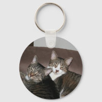 chats jaime