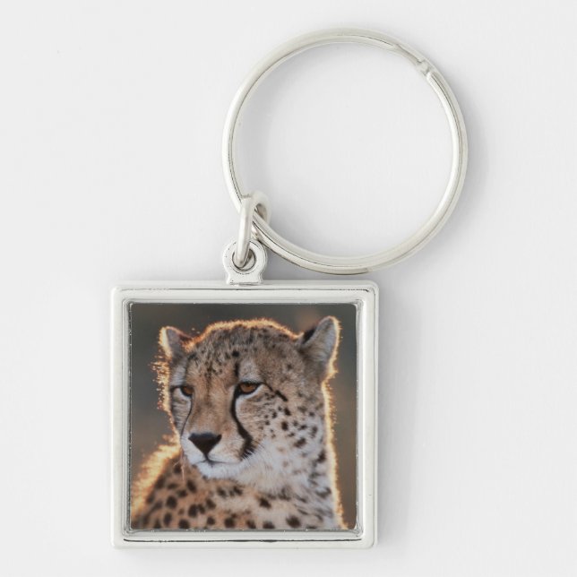 Porte-clés Cheetah regarde loin (Devant)