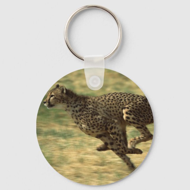 Porte-clés Cheetah Run (Recto)
