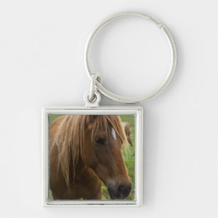 Porte-clés Cheval Bonjour