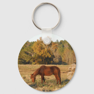 Porte-clés Cheval Brown dans le champ d'arbre jaune