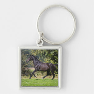 Porte-clés cheval brun fonctionnant sur le pré