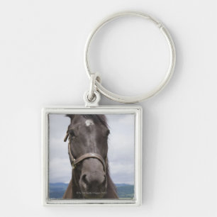 Porte-clés Cheval de brun foncé