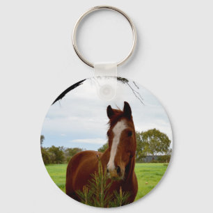 Porte-clés Cheval De Châtaignier Avec Banksia Tree,