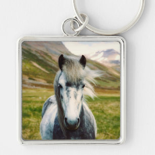 Porte-clés Cheval gris sauvage dans les montagnes
