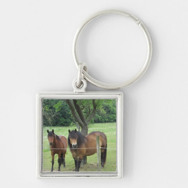 Porte-clés Chevaux dans le pâturage (Devant)