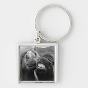 Porte-clés Chevaux de sourire des images de Getty