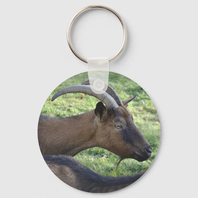 Porte-clés Chèvre alpine (Recto)