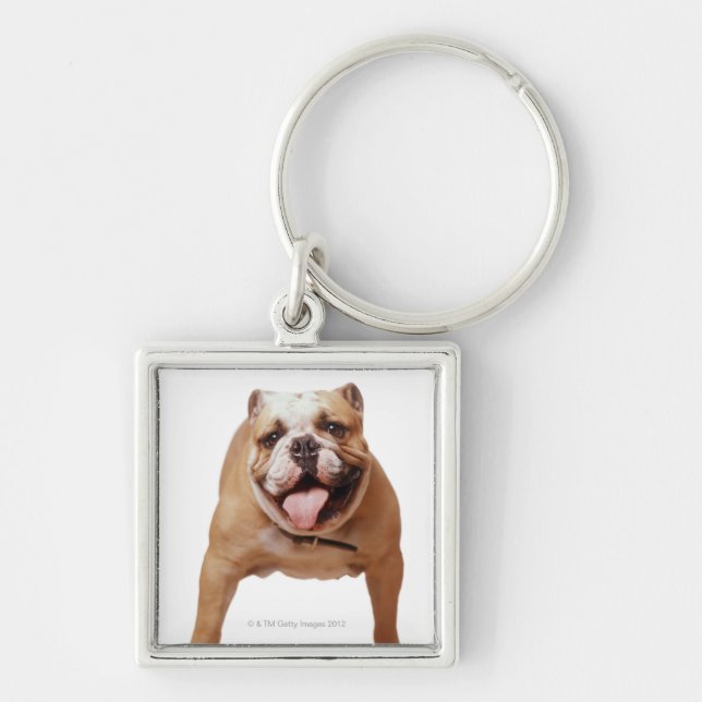 Porte-clés , chien (Devant)