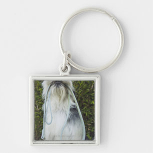 Porte-clés Chien avec la laisse dans la bouche