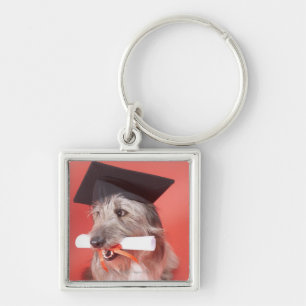 Porte-clés Chien avec la taloche et le diplôme