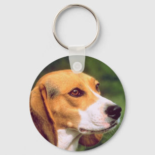 Porte-clés Chien beagle