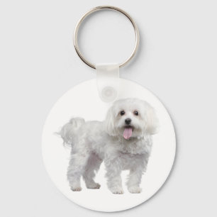 Porte-clés Chien Chien Chien Chien Blanc Maltais Personnalis