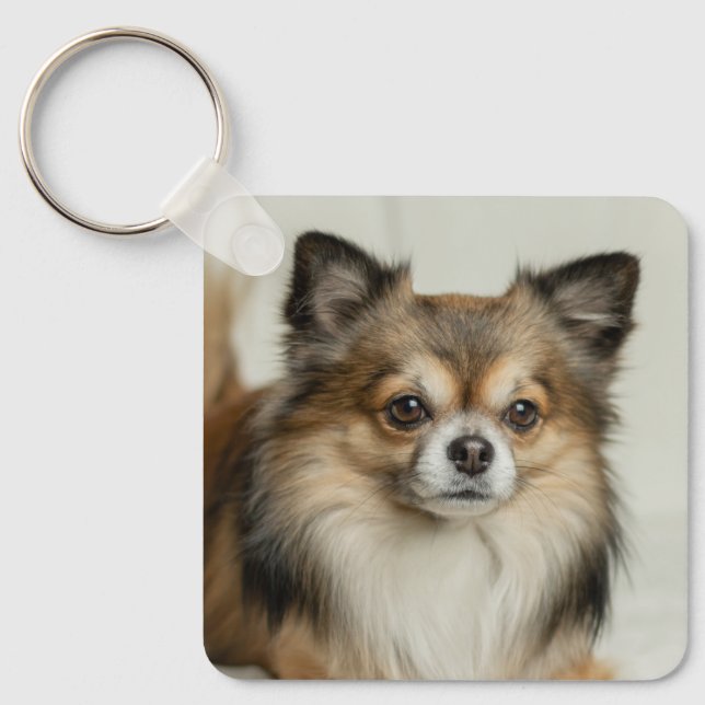 Porte-clés Chien chihuahua, Chien chiot, long et lourd (Recto)