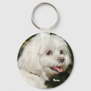 Porte-clés Chien chiot maltais blanc et personnalisé