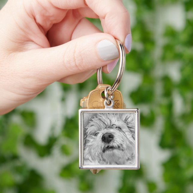 Porte-clés Chien de Coton de Tulear (main)