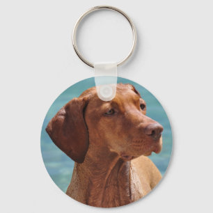 Porte-clés Chien de Magyar Vizsla
