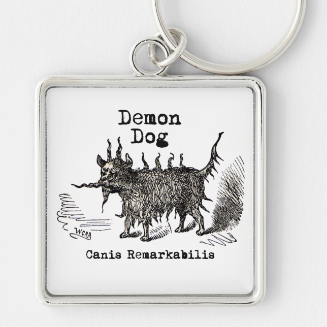 Porte-clés Chien Demon Vintage Funny migre (Devant)