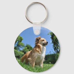 Porte-clés Chien mignon dans l'herbe