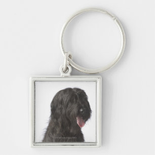 Porte-clés Chien noir, Briard