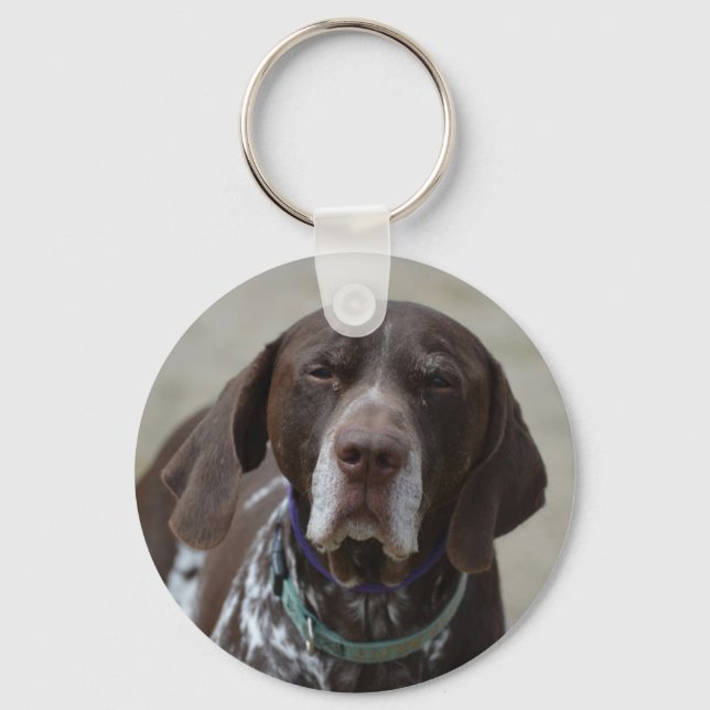 Porte-clés Chien pointeur allemand à pois court (Recto)