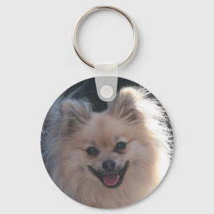 Porte-clés chien pomeranien moelleux