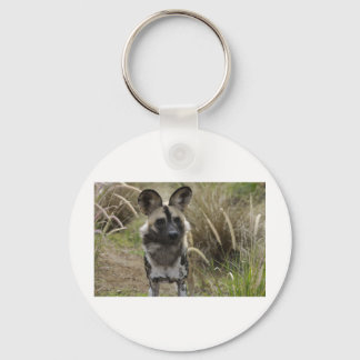 Porte-clés Chien sauvage africain
