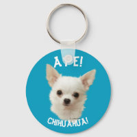Chihuahua blanc, Aye Chihuahua