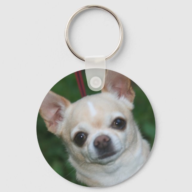 Porte-clés chihuahuas (Recto)