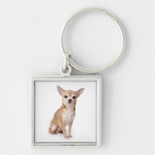 Porte-clés Chiot chihuahua