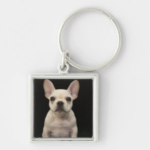 Porte-clés Chiot crème de bouledogue français