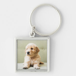 Porte-clés Chiot d'or sur un canapé