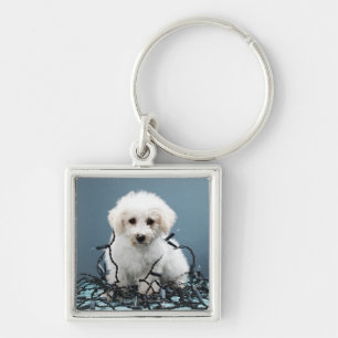 Porte-clés Chiot embrouillé dans des lumières de Noël