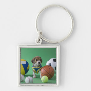 Porte-clés Chiot entouré par des boules de sport