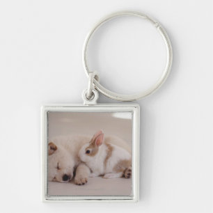 Porte-clés Chiot et lapin