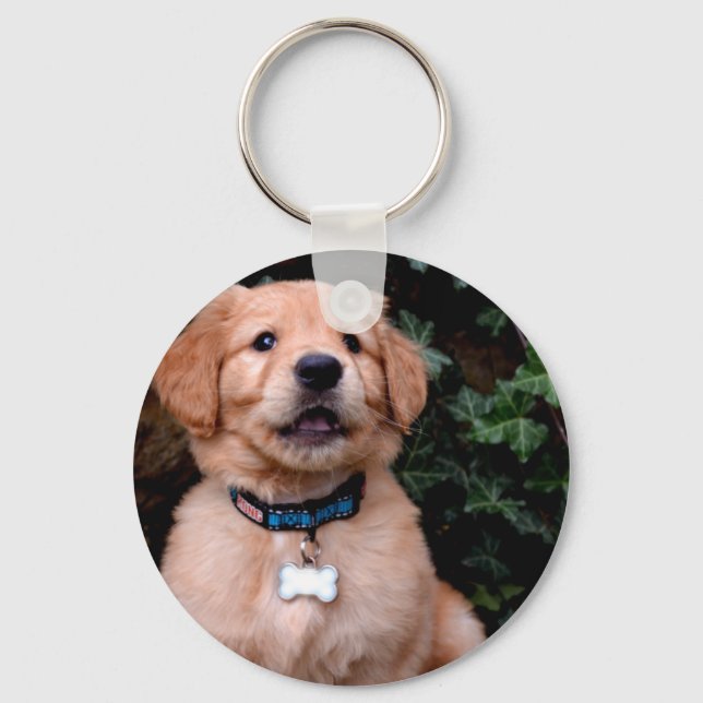Porte-clés Chiot Golden Retriever (Recto)