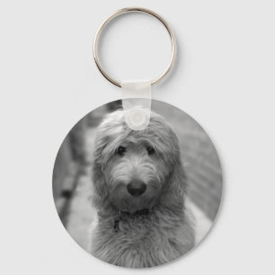 Porte-clés Chiot Goldendoodle en Jardin