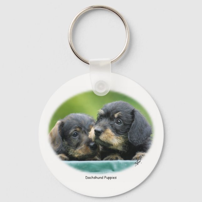 Porte-clés Chiots Dachshund 9W027D-093 (Recto)