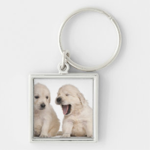 Porte-clés Chiots de golden retriever (4 semaines de)