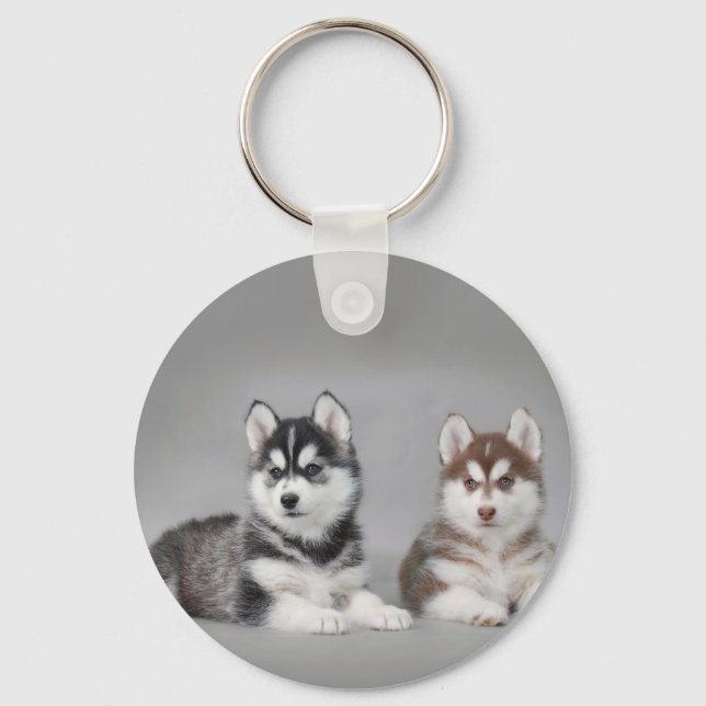 Porte-clés Chiots husky sibériens (Recto)