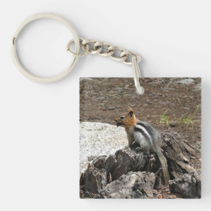 Porte-clés Chipmunk à Yosemite, Californie